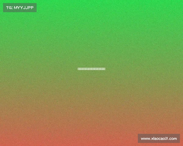 《青春竞逐龙岩高校电竞赛事战火重燃》